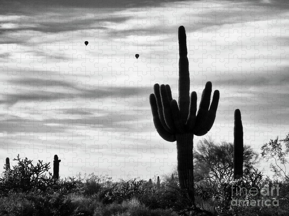 Saguaro Cactus Jigsaw Puzzle featuring the photograph Saguaro Cactus with Hot Air Balloons by Tamara Becker