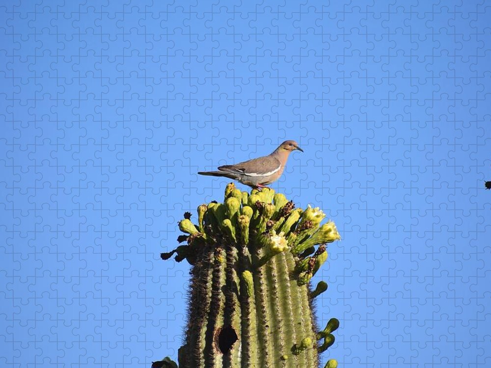 Saguaro Jigsaw Puzzle featuring the photograph Saguaro Dove 1 by Nina Kindred