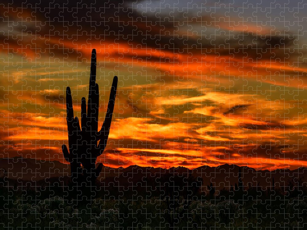 Arizona Jigsaw Puzzle featuring the photograph Saguaro Sunset H51 by Mark Myhaver