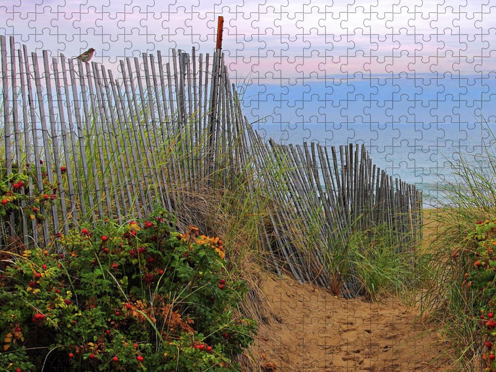 Salisbury Beach Jigsaw Puzzle featuring the photograph Salisbury Beach by Jeff Heimlich