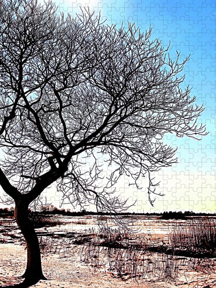 Marshlands Jigsaw Puzzle featuring the photograph Salisbury by Jeff Heimlich