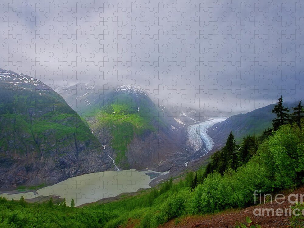 Salmon Glacier Jigsaw Puzzle featuring the photograph Salmon Glacier near Hyder AK by David Arment