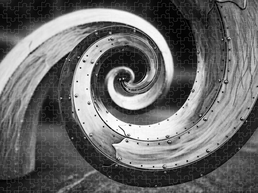 Junk Jigsaw Puzzle featuring the photograph Salmon Waves Black and White by Pelo Blanco Photo