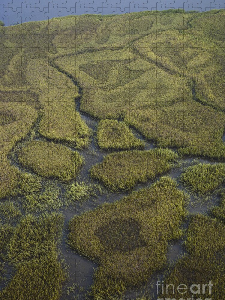 Aerial Jigsaw Puzzle featuring the photograph Salt Marsh, Georgia by Stephen J. Krasemann