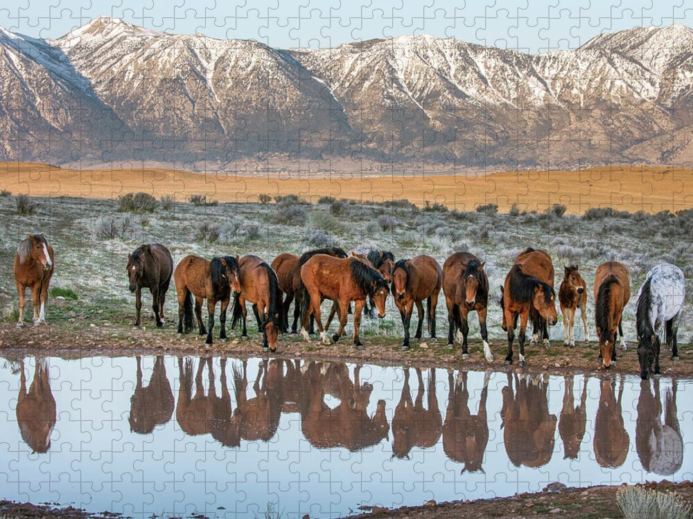  Jigsaw Puzzle featuring the photograph Samson at the pond by John T Humphrey