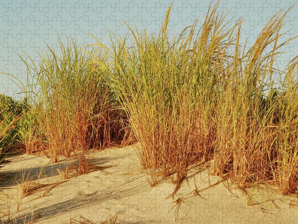 Jersey Shore Jigsaw Puzzle featuring the photograph Sand Dune I - Jersey Shore by Angie Tirado