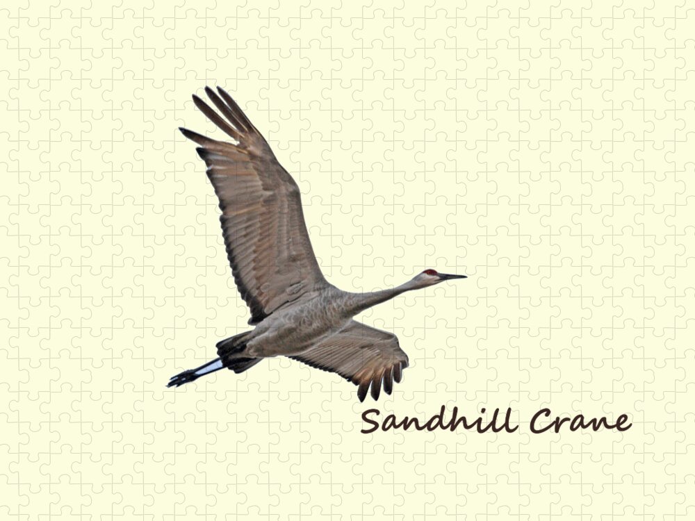 Sandhill Jigsaw Puzzle featuring the photograph Sandhill Crane in Flight by Whispering Peaks Photography
