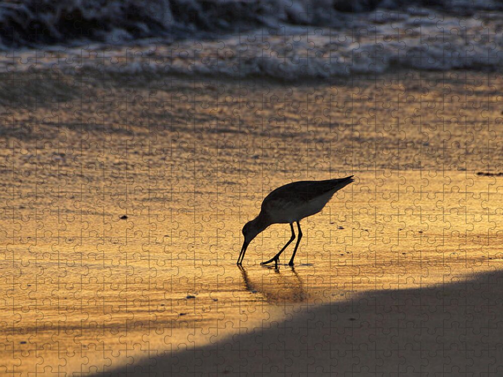 Sandpiper Jigsaw Puzzle featuring the photograph Sandpiper in Evening by Sandy Keeton