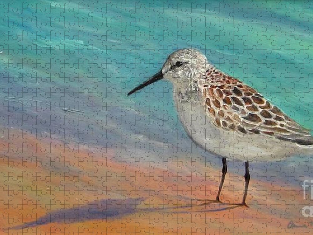 Sandpiper Jigsaw Puzzle featuring the painting Sandpiper Sighting by Anne Marie Brown