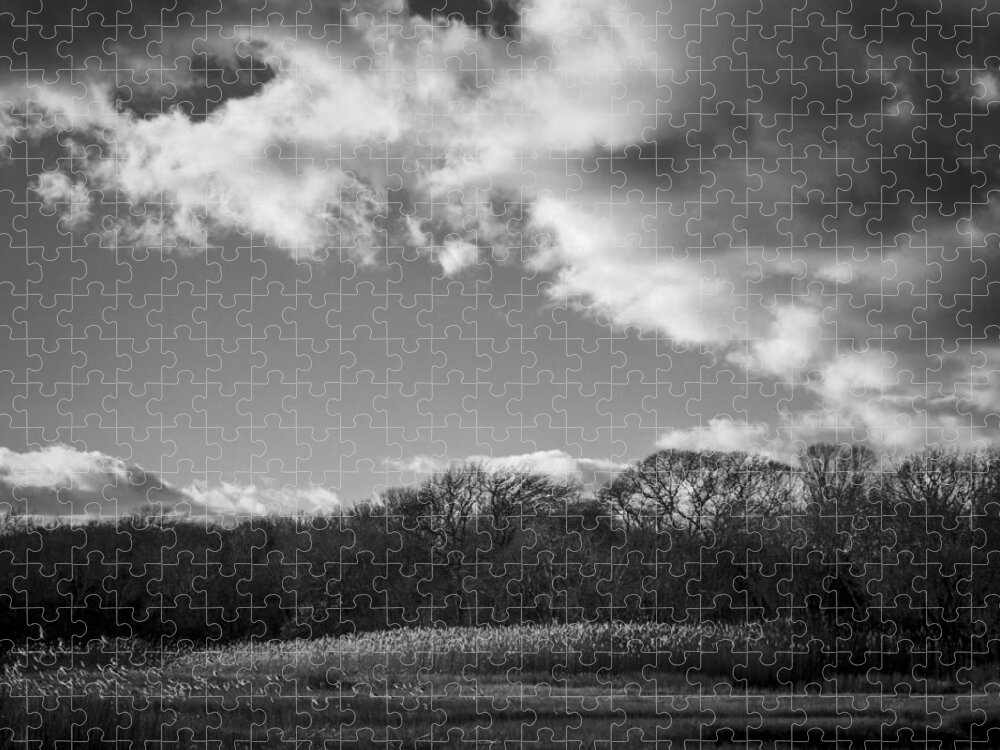 B&w Jigsaw Puzzle featuring the photograph Sandwich Marsh by Frank Winters