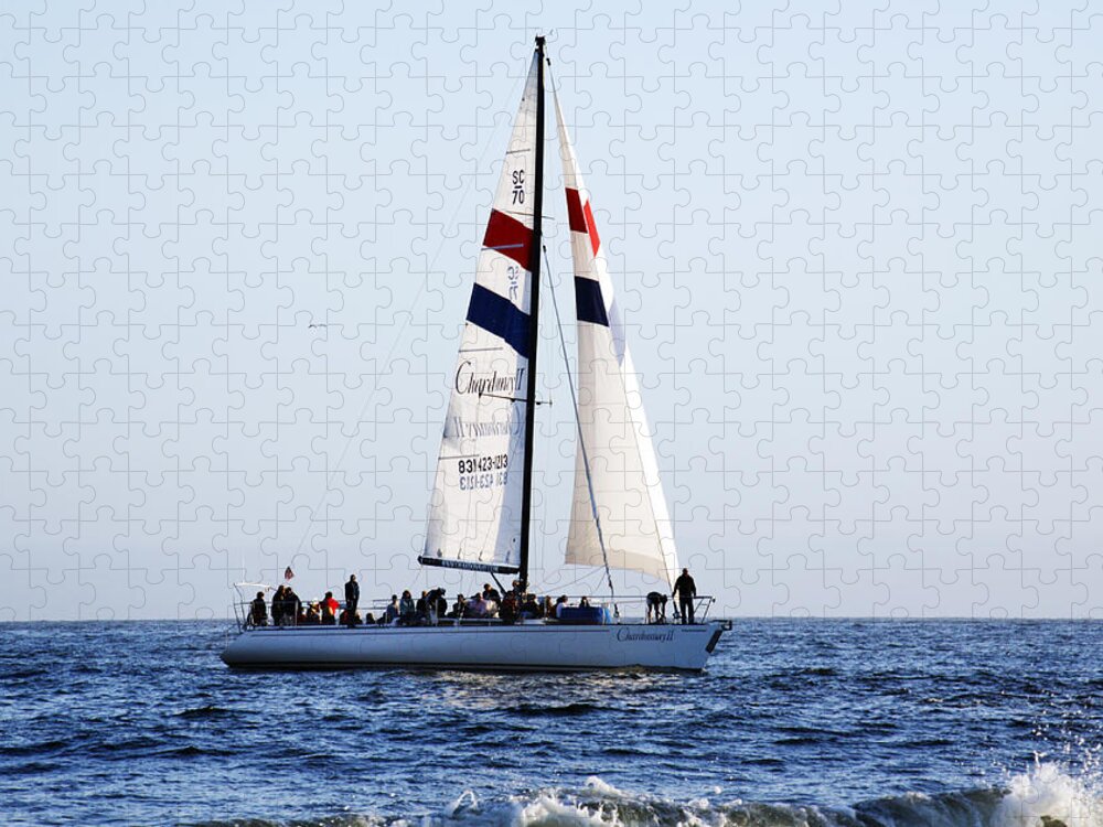 Santa Cruz Jigsaw Puzzle featuring the photograph Santa Cruz Sailing by Marilyn Hunt