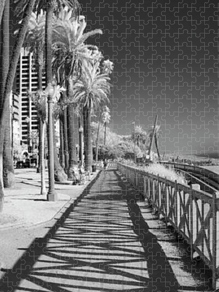 Black And White Photographs Jigsaw Puzzle featuring the photograph Santa Monica Shadows and Palms by Sean Davey