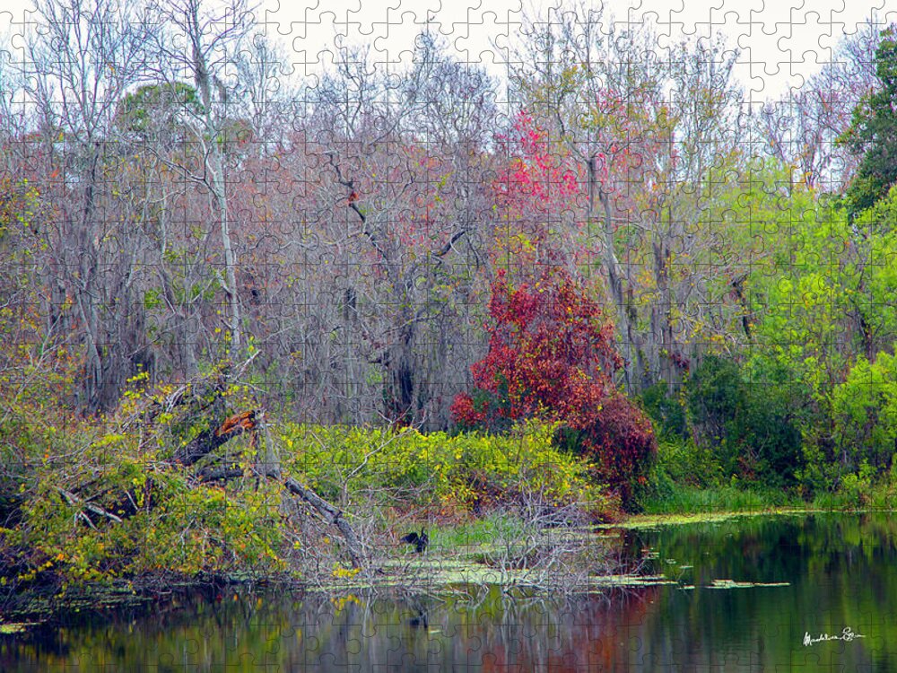 Land Jigsaw Puzzle featuring the photograph Sarasota Reflections by Madeline Ellis