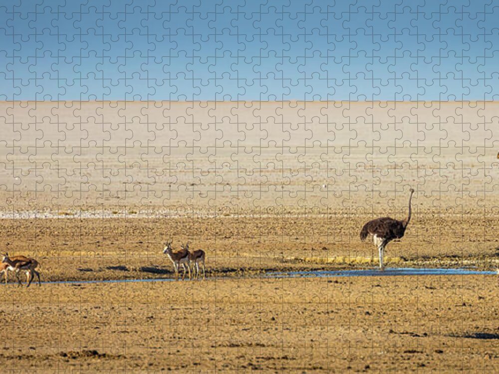 Africa Jigsaw Puzzle featuring the photograph Savanna Life by Inge Johnsson