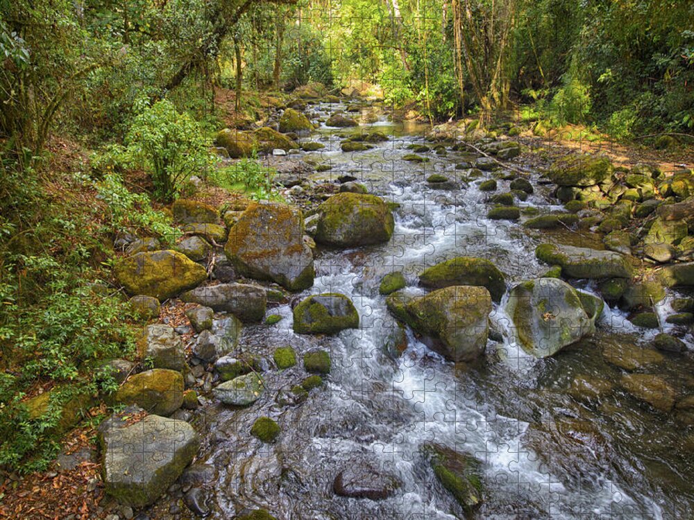 Savegre River Jigsaw Puzzle featuring the photograph Savegre River - Costa Rica 3 by Kathy Adams Clark