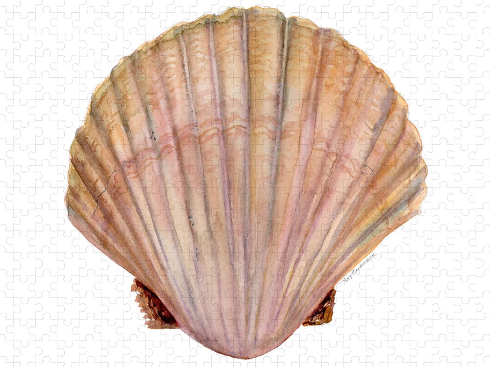 Scallop Shell Painting Jigsaw Puzzle featuring the painting Scallop Shell by Amy Kirkpatrick