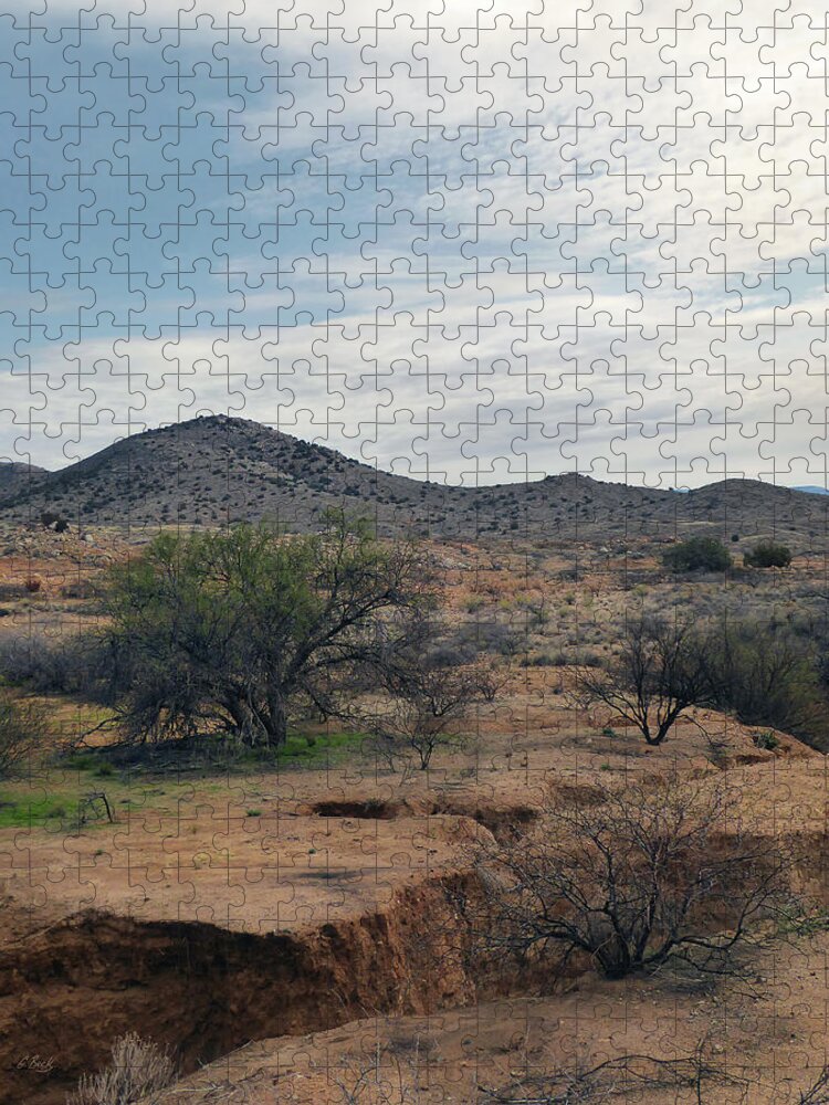 Agua Fria Jigsaw Puzzle featuring the photograph Scarred Earth by Gordon Beck