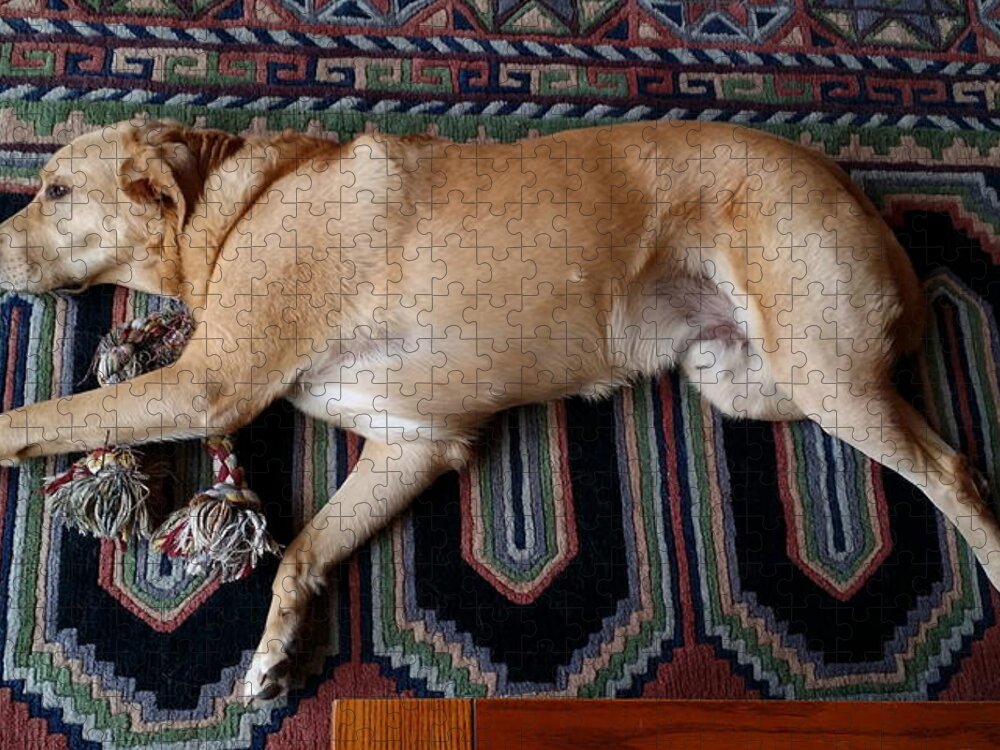 Dog Jigsaw Puzzle featuring the photograph Scouts Rope by Laura Davis