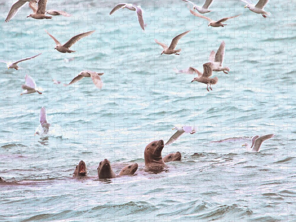 Sea Lions Jigsaw Puzzle featuring the photograph Sea Lions and Gulls - Herring Spawn by Peggy Collins