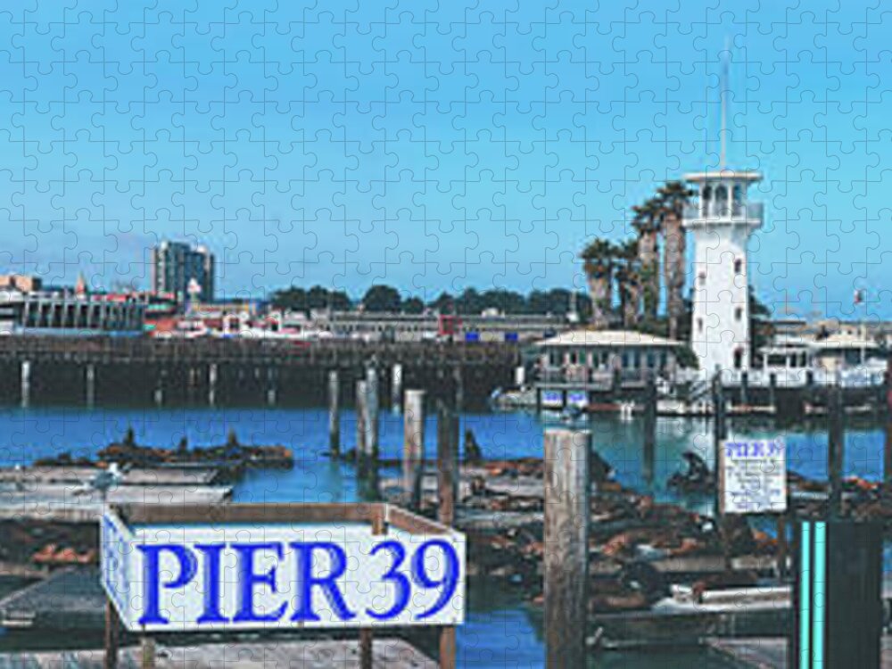San Francisco Jigsaw Puzzle featuring the photograph Sea Lions On Pier 39 by Mountain Dreams