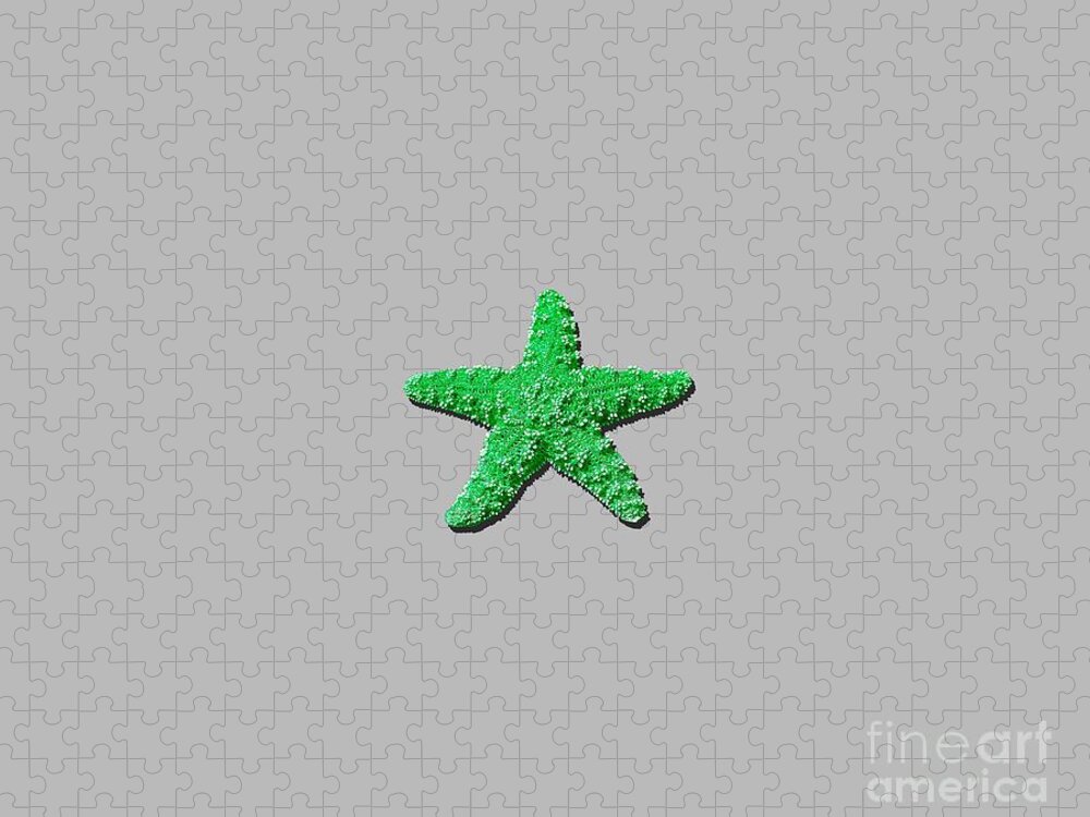 Starfish Jigsaw Puzzle featuring the photograph Sea Star Green .png by Al Powell Photography USA