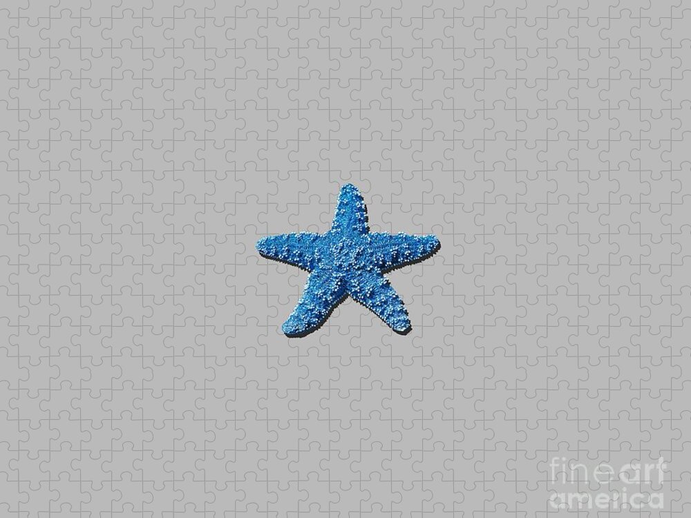 Starfish Jigsaw Puzzle featuring the photograph Sea Star Medium Blue .png by Al Powell Photography USA