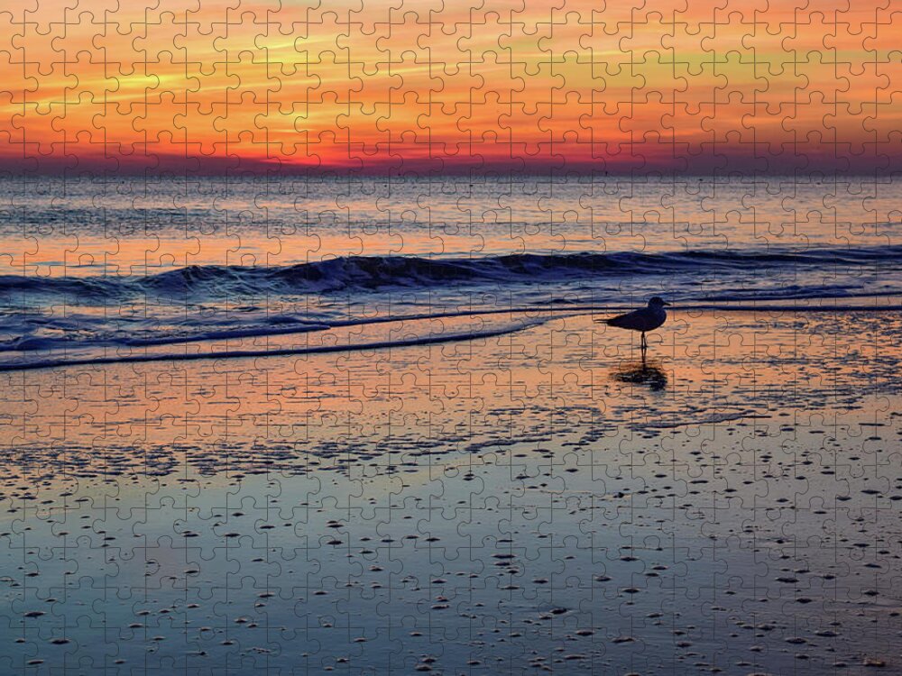 Beach Jigsaw Puzzle featuring the photograph Seagull at Sunrise by Nicole Lloyd