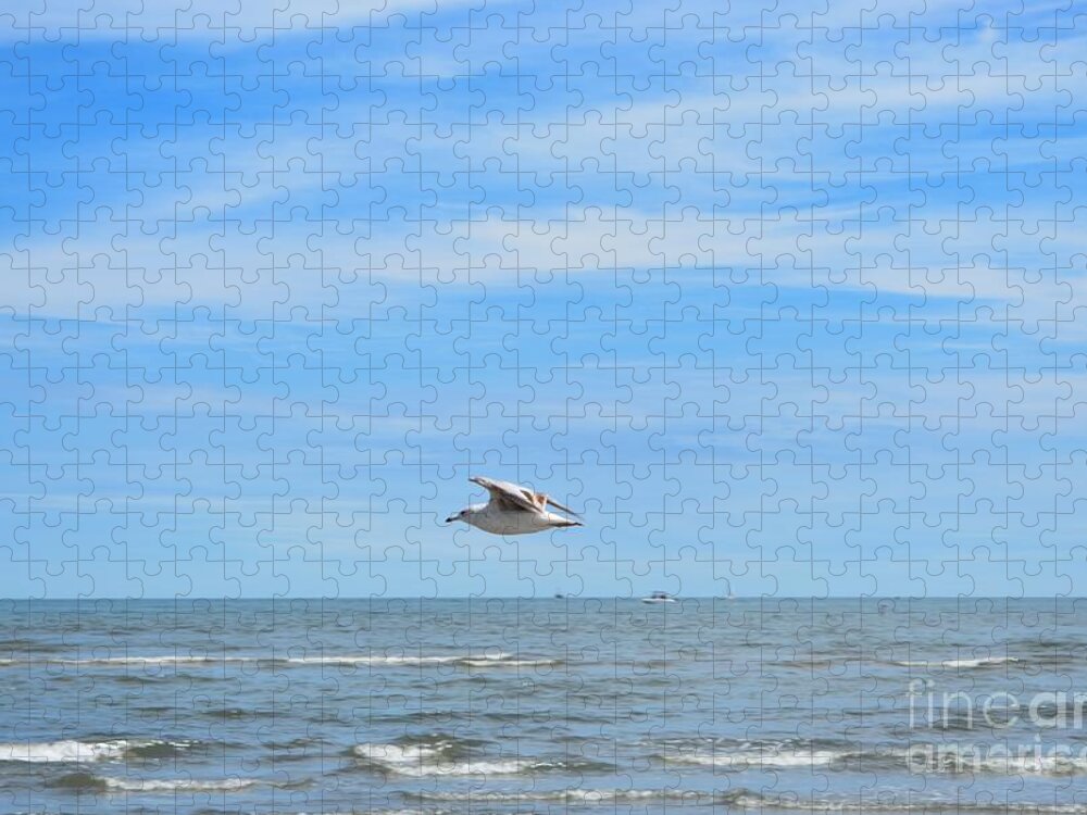 Seagull Jigsaw Puzzle featuring the photograph Seagull in Flight by Dani McEvoy