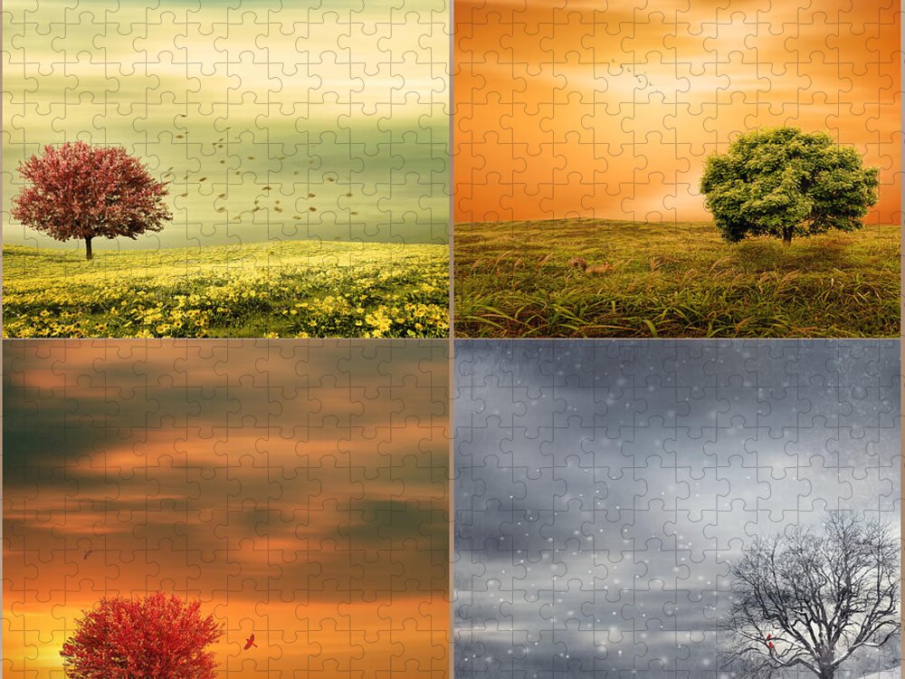 Four Seasons Jigsaw Puzzle featuring the photograph Seasons' Delight by Lourry Legarde