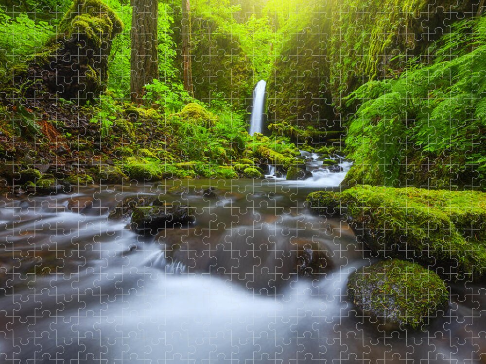 Oregon Jigsaw Puzzle featuring the photograph Seclusion by Darren White
