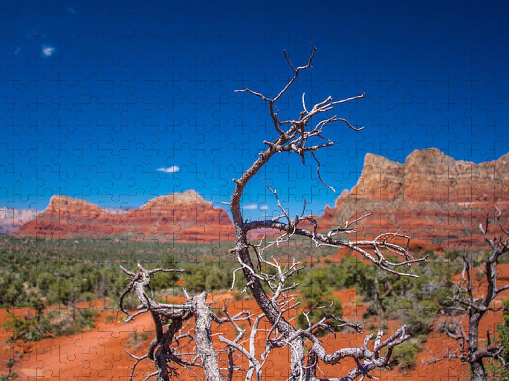Sedona Jigsaw Puzzle featuring the photograph Sedona Blue by Robert McKay Jones