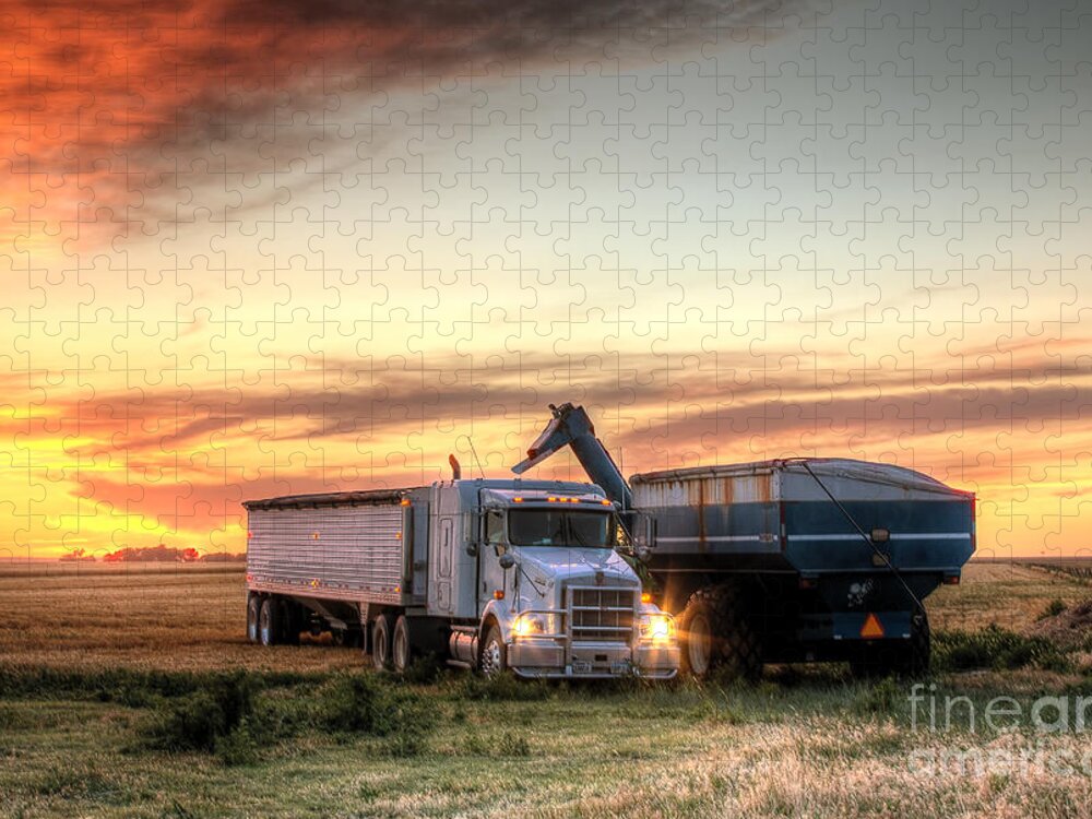Harvest Jigsaw Puzzle featuring the photograph Semi Truck Unload by Thomas Zimmerman