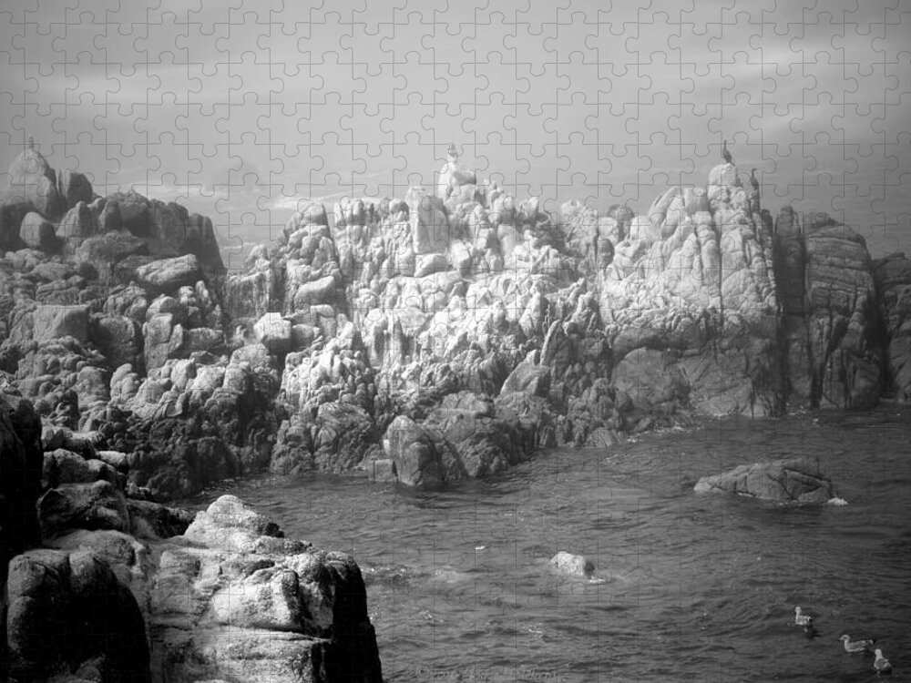 Waves Jigsaw Puzzle featuring the photograph Sentinels In The Fog B And W by Joyce Dickens