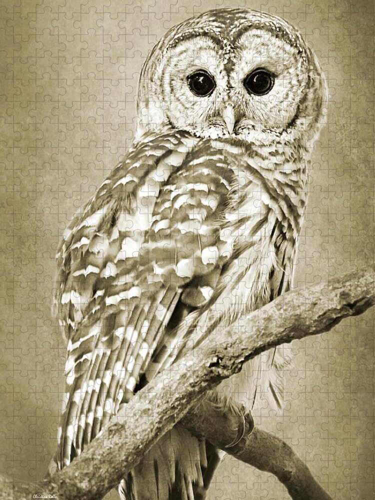 Owl Jigsaw Puzzle featuring the photograph Sepia Owl by Christina Rollo