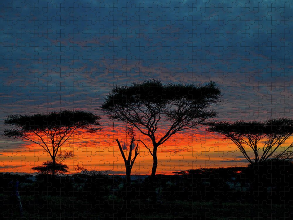 Africa Jigsaw Puzzle featuring the photograph Serengeti Sunrise by Marilyn Burton