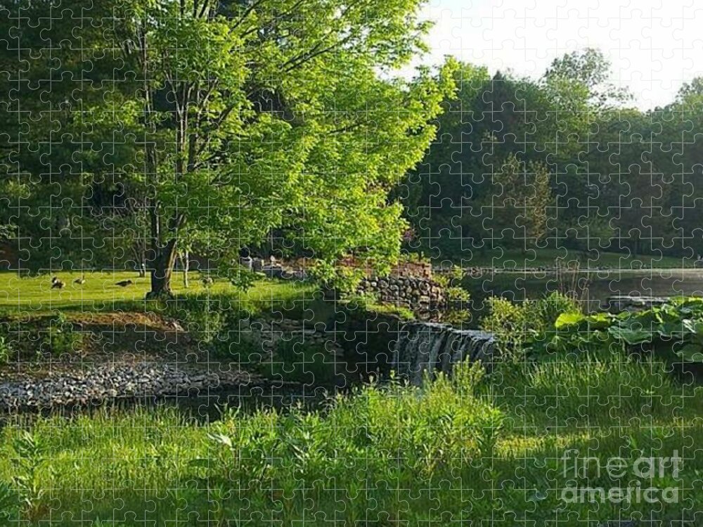 Landscape Jigsaw Puzzle featuring the photograph Serenity by Dani McEvoy