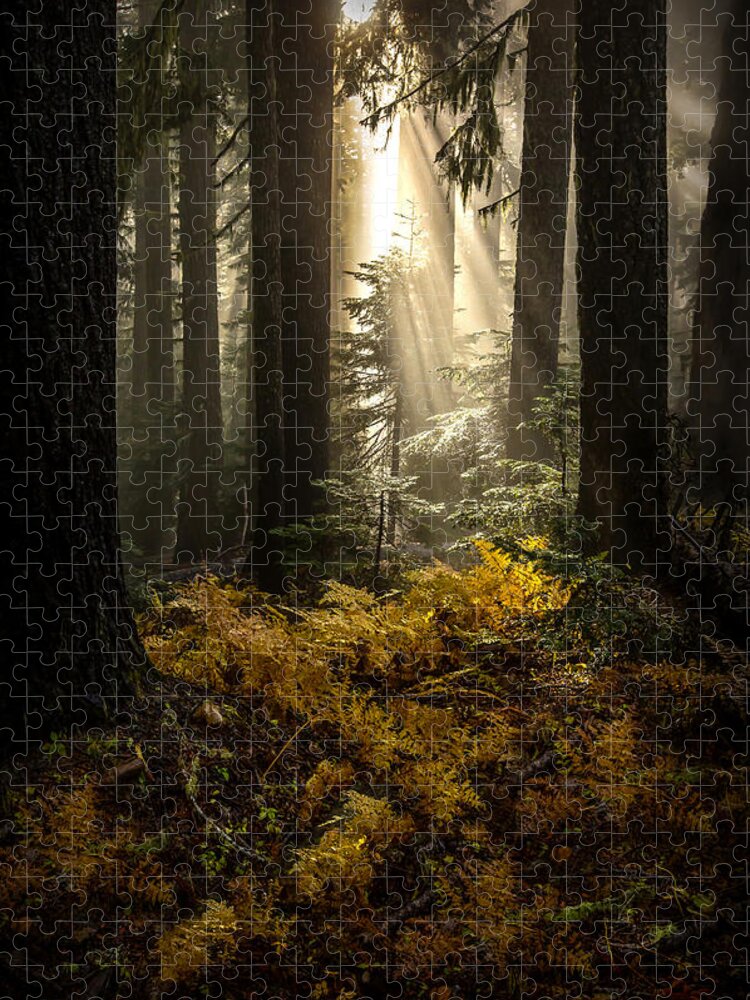 Serenity Jigsaw Puzzle featuring the photograph Serenity by Ryan Smith