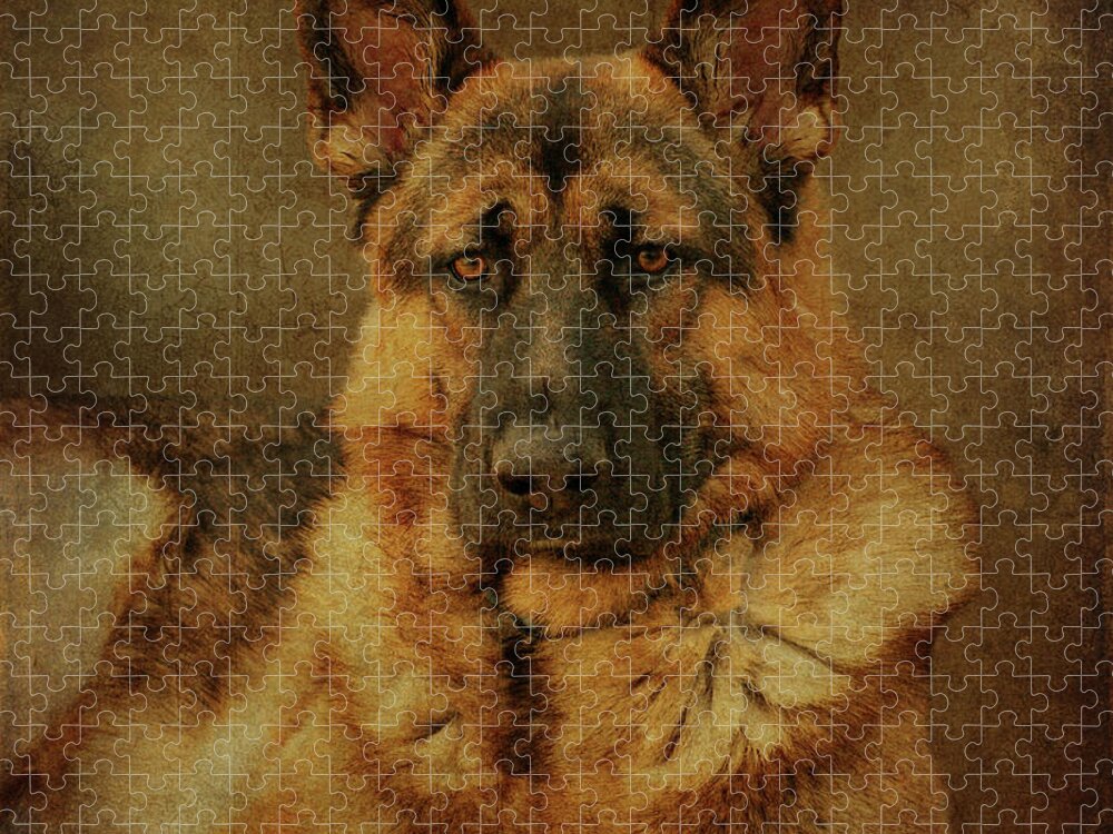 German Shepherd Dog Jigsaw Puzzle featuring the photograph Serious by Sandy Keeton