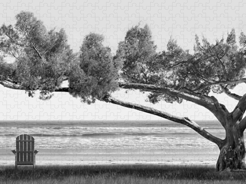 Shade Tree Jigsaw Puzzle featuring the photograph Shade Tree bw by Mike McGlothlen