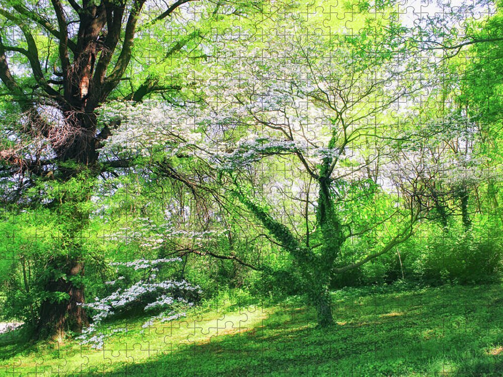 Rosslyn Jigsaw Puzzle featuring the photograph Shades Of Spring by Iryna Goodall