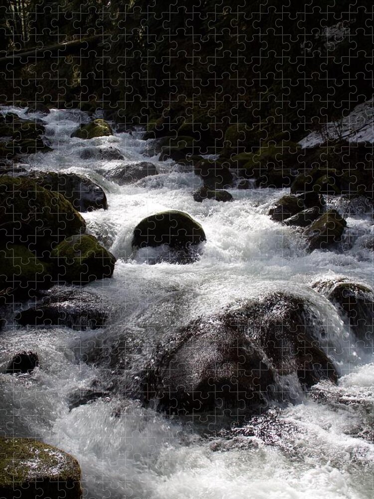 Shadow Flow Jigsaw Puzzle featuring the photograph Shadow Flow by Dylan Punke