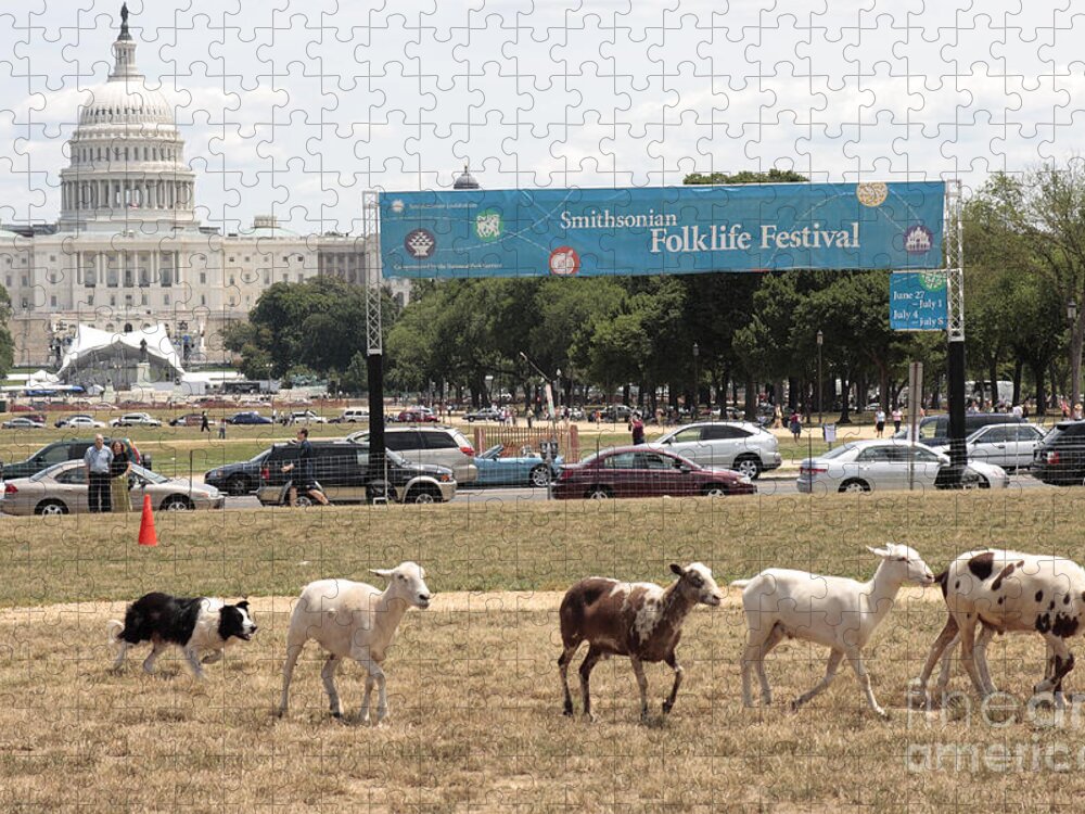 Washington Jigsaw Puzzle featuring the photograph Sheep-Herding in Washington DC by William Kuta