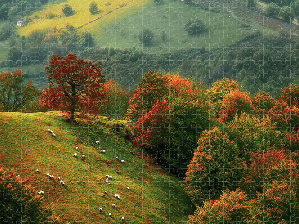 Urepel Jigsaw Puzzle featuring the photograph sheep in Urepel at autumn by Mikel Martinez de Osaba
