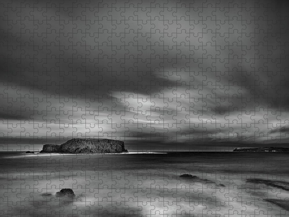 Sheep Jigsaw Puzzle featuring the photograph Sheep Island mono by Nigel R Bell