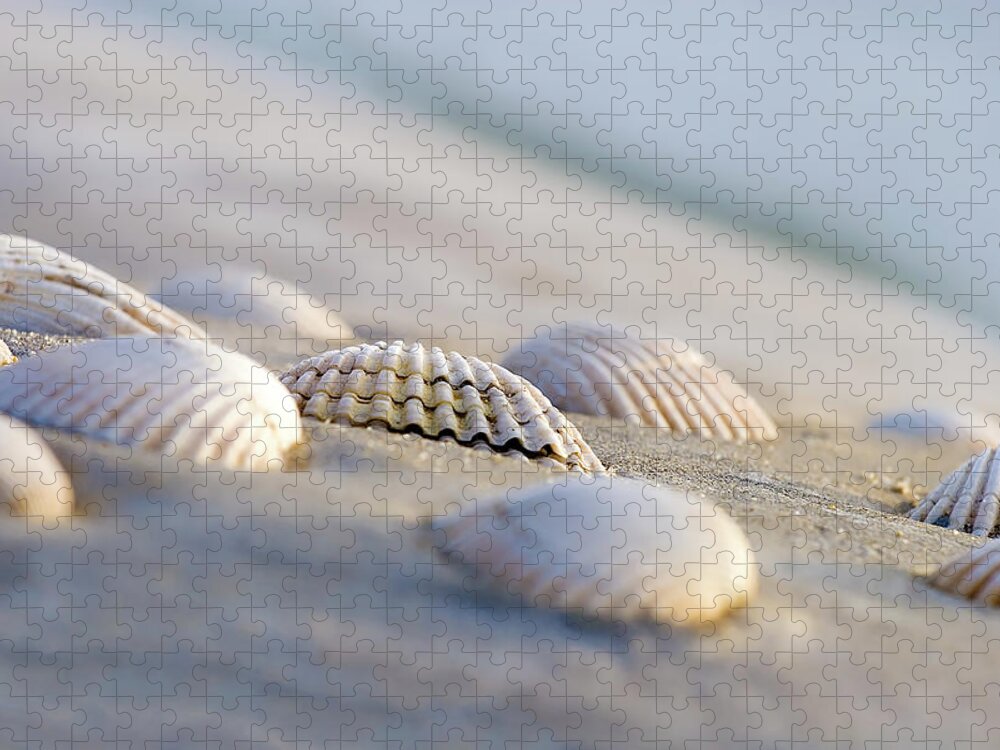 Art Jigsaw Puzzle featuring the photograph Shells by Peter Tellone