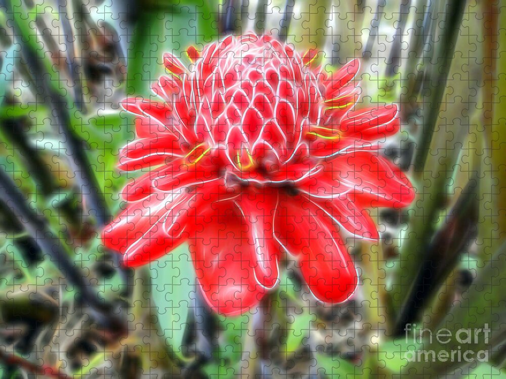 Flower Jigsaw Puzzle featuring the photograph Shimmering Red Ginger Lily by Sue Melvin
