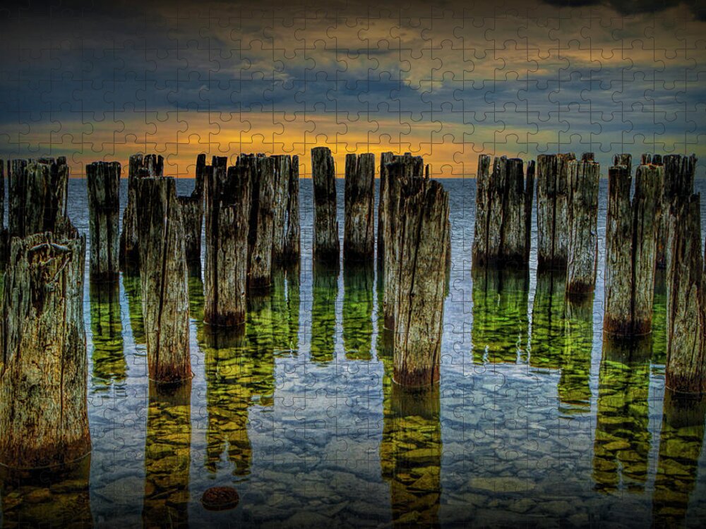 Art Jigsaw Puzzle featuring the photograph Shore Pilings at Sunset by Fayette State Park by Randall Nyhof