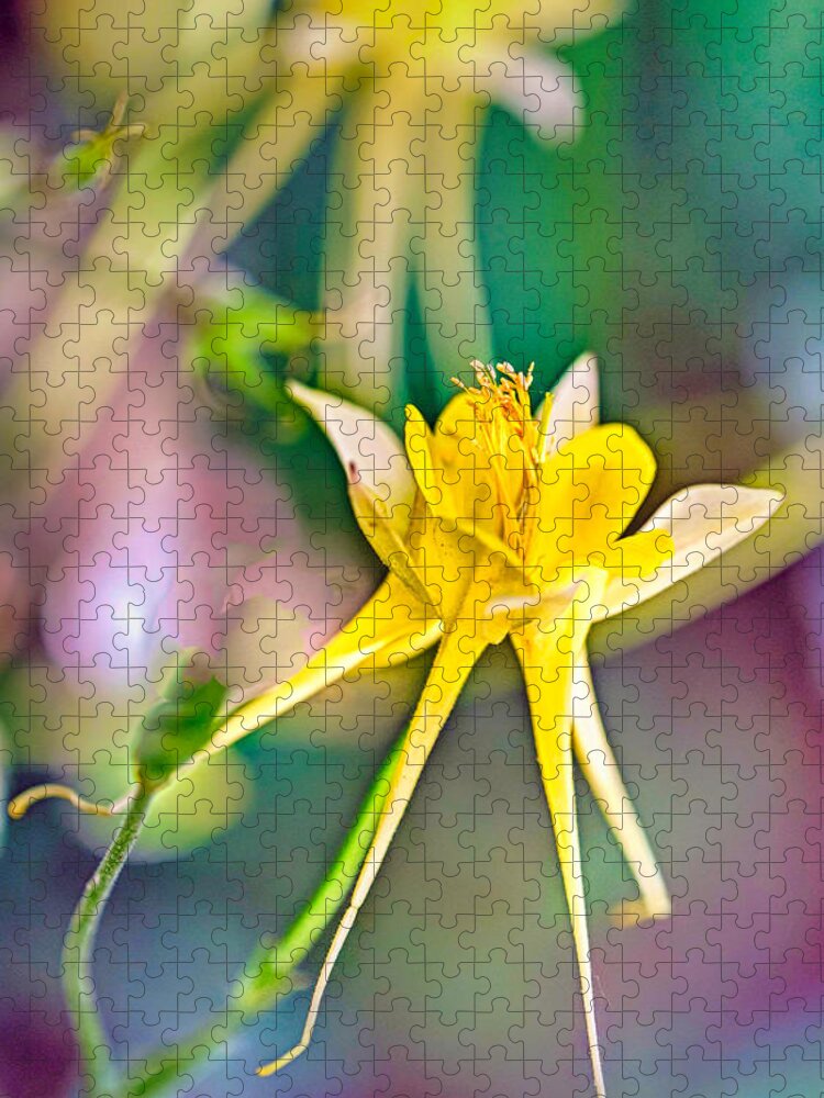 Flower Jigsaw Puzzle featuring the photograph Show Star by Ches Black