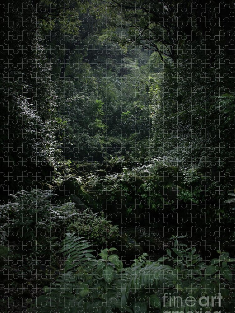 Hana Jigsaw Puzzle featuring the photograph Silence is Round Me  - Mokulehua by Sharon Mau