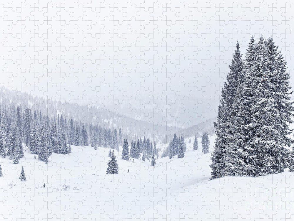 Kremsdorf Puzzle featuring the photograph Silent Snow by Evelina Kremsdorf